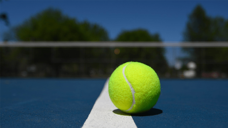 ATP Rotterdam / ABN AMRO Open - TennisFreakz